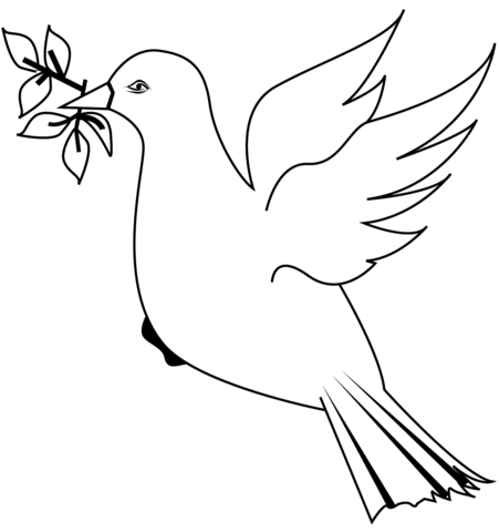 Dove With Branch Coloring Page